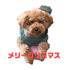 Hayato_20251217211514