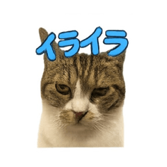 kenken_20251217160056