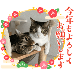rei_20251217155958