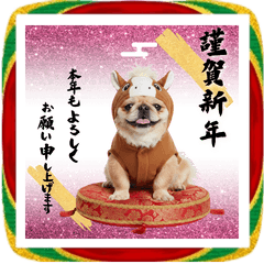 午きぐるみペキニーズのBIGお正月スタンプ