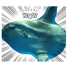 chihiro_20251217182801