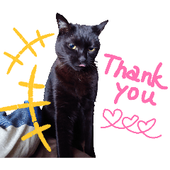 fukuryuu_20251216122054