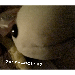 Chunchun Stamp (the cutest turtle)