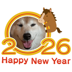 Happy New Year 2026 from Shiba Inu Karin