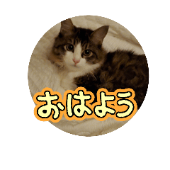 vivi_20251217162314