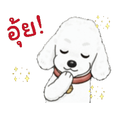 Pudding :White Doggie