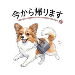 Luana_20251217221938