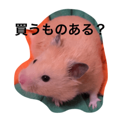 chige_20251217185901
