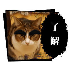 masa_20251217