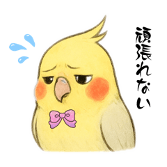 meteor_20251217191326