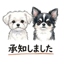 kaori_20251217235244