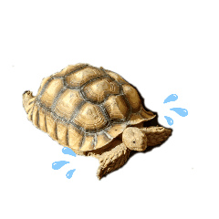 naozo_20251217183454