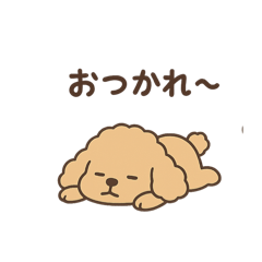 ASUKA_20251217184423