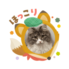 vivi_20251217185102