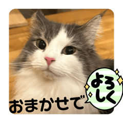 Sora Mama_20251217230005