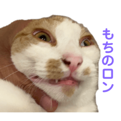 Koyaman_20251217225315