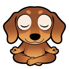 臘腸的快樂日常