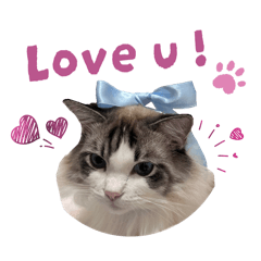 北極熊&奶茶&企鵝