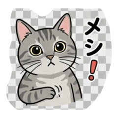 Angela_20251217193855