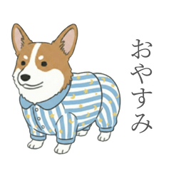Useful Corgi