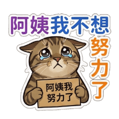 虎班貓包子日常用語篇 1