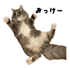 Please enjoy Siberian Karaage-kun.