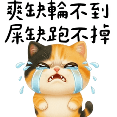 花貓2026一樣嘴爆你 大貼圖