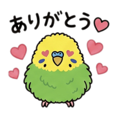 kazuget_20251217203551