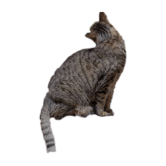 kirisuto.jp_20251217204939