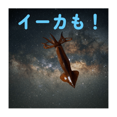 momotaroko_20251217205442