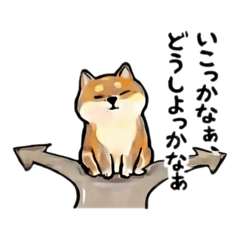 shiba_key_20251217223903