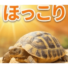 iwagaki_20251217204640