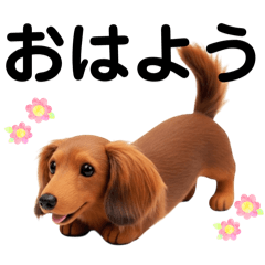 Plush Mini Dachshund Everyday Stickers