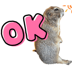 Jackson_20251217223853