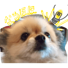 musasi_20251217224526