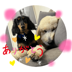 gonta_20251217205546