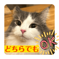 Sora Mama_20251217224413