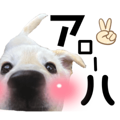 MaRko.Y_20251217224158