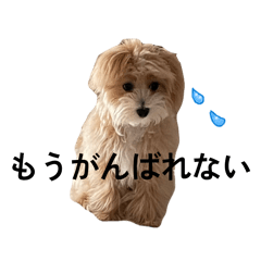 ryuchan_20251218010916