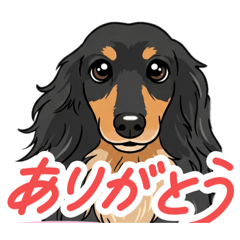 kibayashikoubou_20251218010636