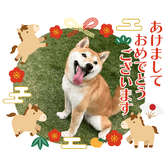 Hanabi_20251218013353