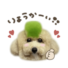 マッチョくん☆mix