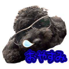 rnths_20251217205637