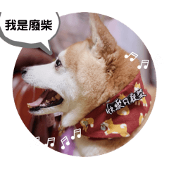 跑跑寶寶vo.1-我是廢柴