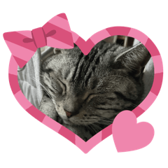 h.kajiyama_20251217214125