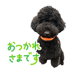 KAORI_20251217214357