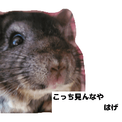 nattoumaki_20251218030044