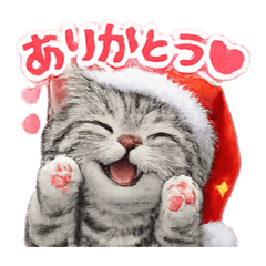 nekomofudou_20251218021208