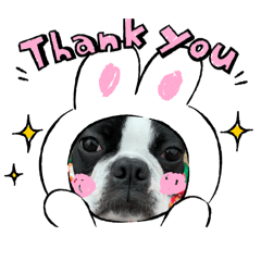 mamekichi no nichijyou