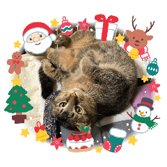 Lemon_20251218100738